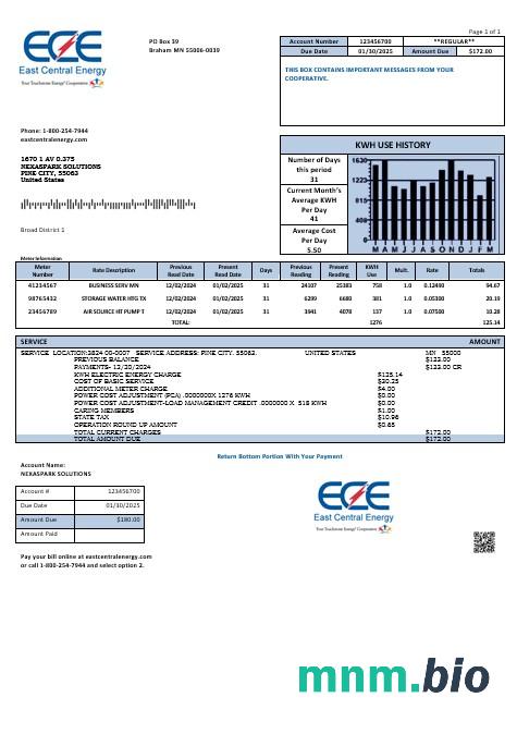 USA Minnesota East Central Energy rachunek za usługi komunalne szablon w formacie Word i PDF